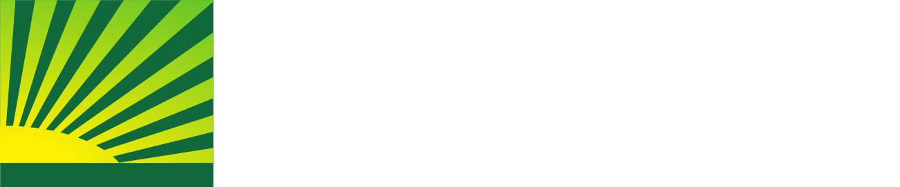 JSE-Systems-Ltd-logo-white